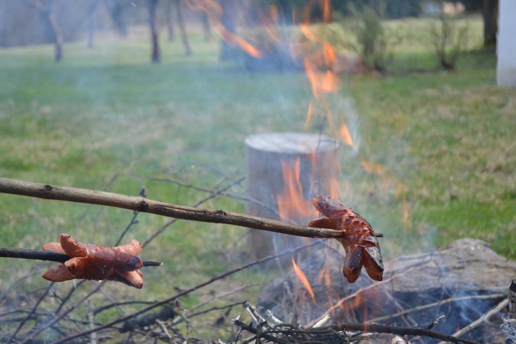 Chalupa Pod Klepacem Králíky المظهر الخارجي الصورة